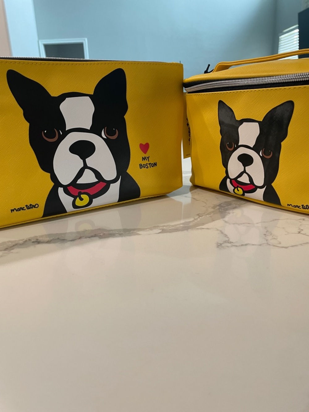Marc Tetro Yellow 'My Boston' Cosmetic Pouch Set of 2 - Picture 11 of 12